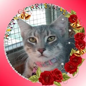 Meet your Posher, Jamesmartha